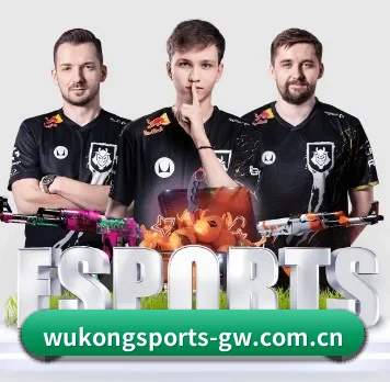 悟空体育官网入口 APP(WukongSports)