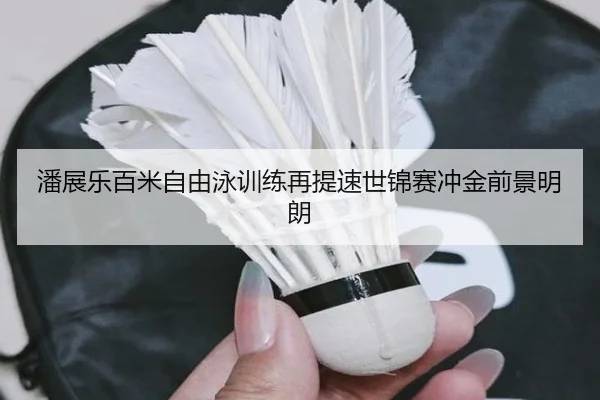 潘展乐百米自由泳训练再提速世锦赛冲金前景明朗 - WukongSports